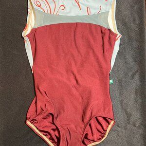 Luckyleo Maroon and blue leotard